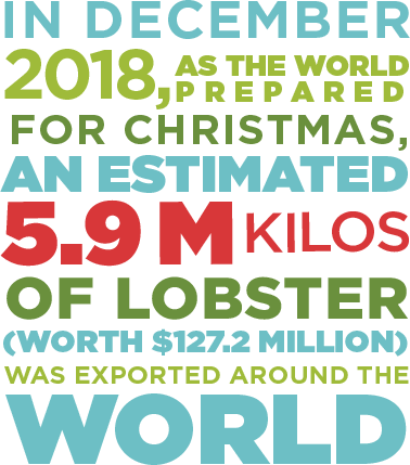 In December 2018, as the world prepared for Christmas, an estimated 5.9M kilos of lobster (worth $127.2 million) was exported around the world
