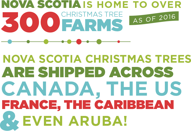 Nova Scotia is home to over 300 Christmas tree farms (as of 2016). Nova Scotia Christmas trees are shipped across Canada, the US, France, The Caribbean, and even Aruba!