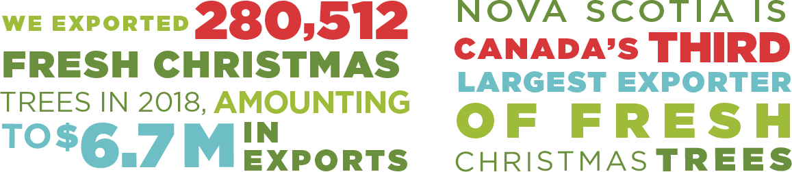 We exported 280,512 fresh Christmas trees in 2018, amounting to $6.7M in exports. Nova Scotia is Canada’s third largest exporter of fresh Christmas trees.
