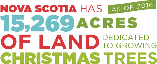 Nova Scotia has (as of 2016) 15,269 acres of land dedicated to growing Christmas trees.